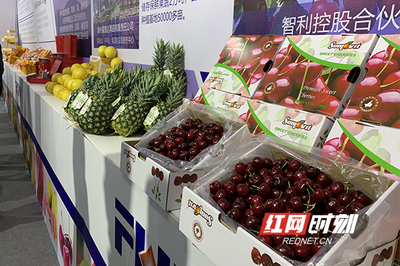 周末果品會(huì) 繽紛水果盛宴，盡享舌尖上的甜蜜時(shí)光