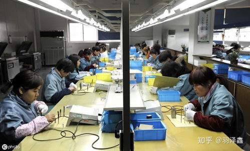 初入工廠的迷茫與探索 工作強度、氛圍與個人發展的思考
